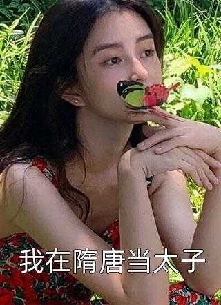 我在隋唐当太子